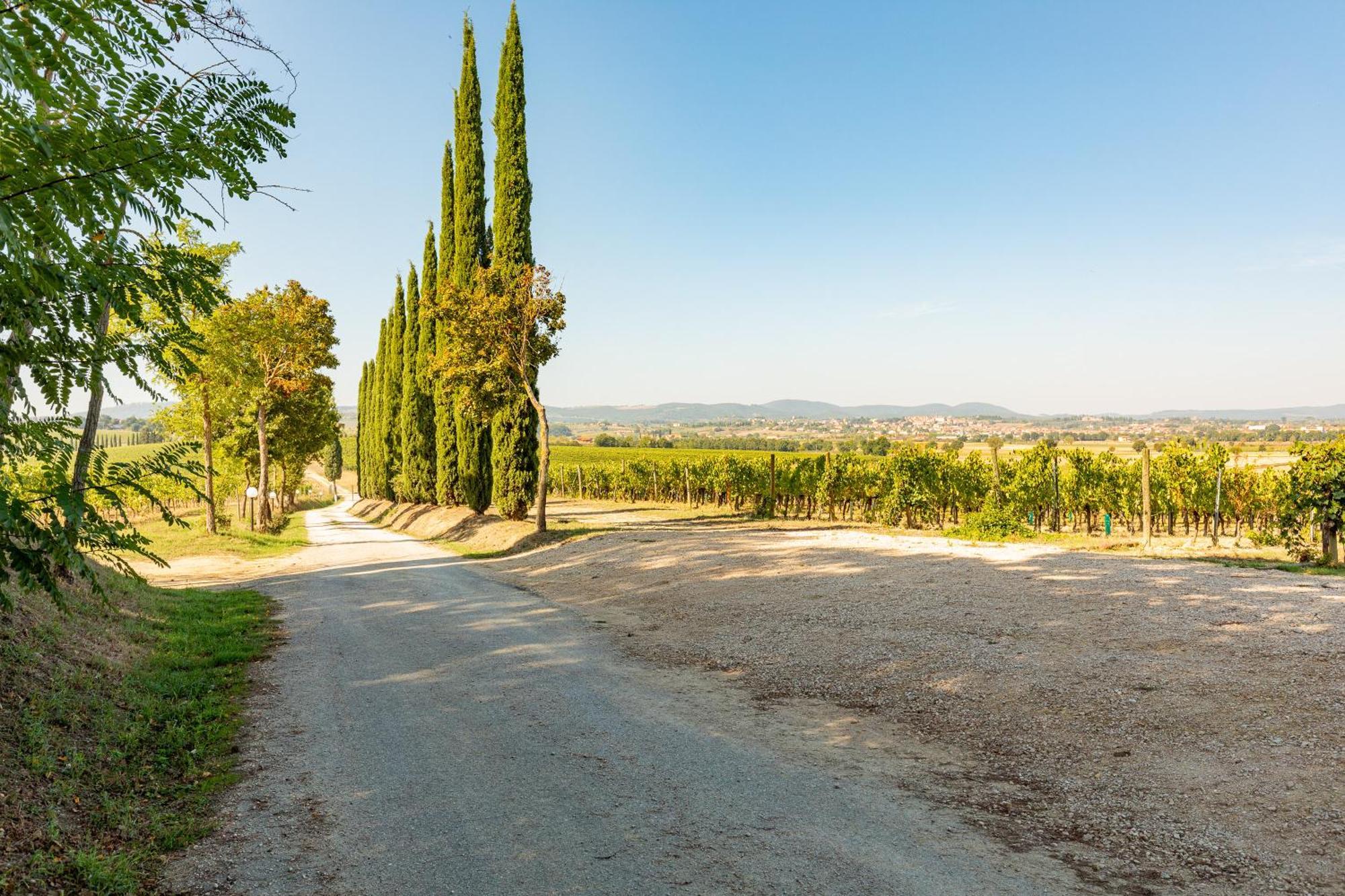 Appartamento Nobile Montepulciano Bagian luar foto